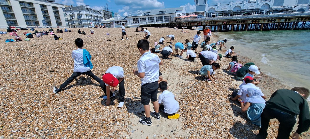 HamiltonAcadY4's tweet photo. Plenty more fieldwork followed, including beach profiles (look forward to a cup of beach heading home very soon!) and sketches of a square of sand.#Southsea2023 https://t.co/Id8iIASyBL