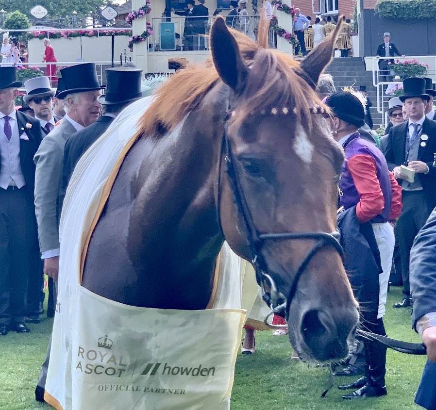 Desert Hero is a Royal Ascot hero!

He wins for His Majesty The King and Her Majesty The Queen

#RoyalAscot