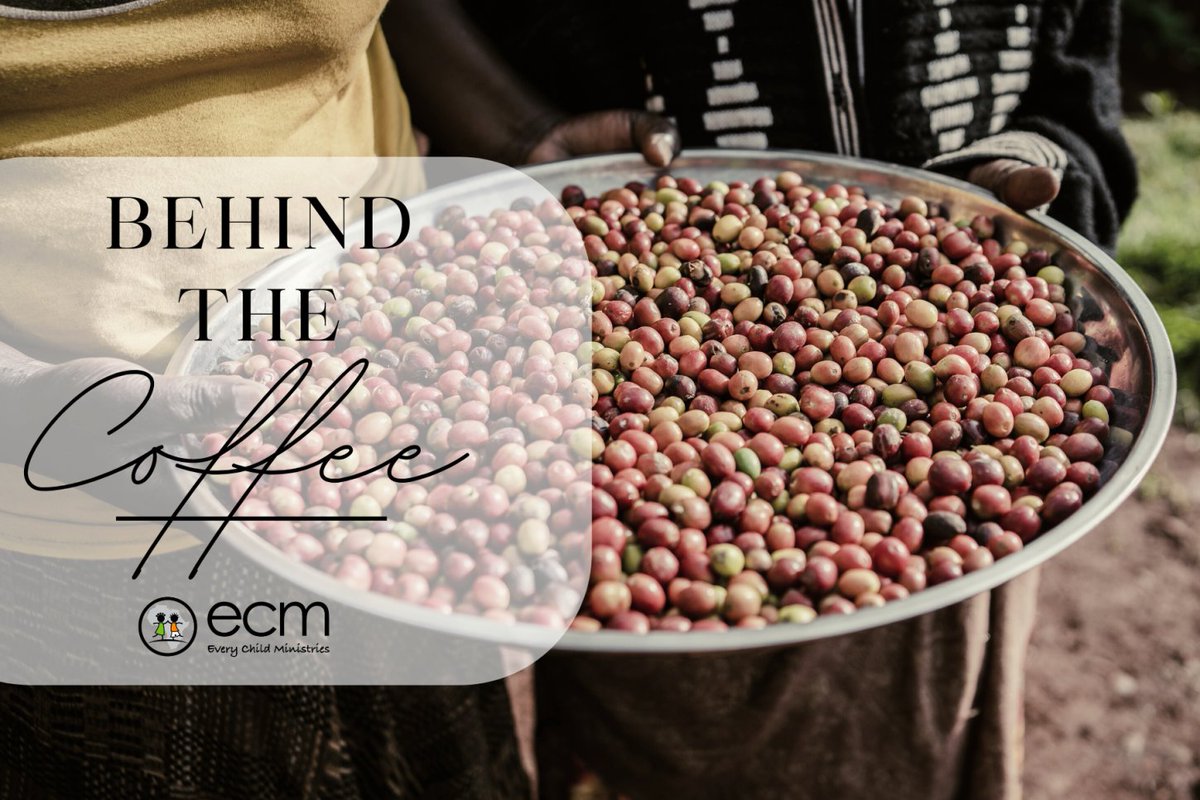 ECMAfrica's tweet photo. 𝐁𝐄𝐇𝐈𝐍𝐃 𝐓𝐇𝐄 𝐂𝐎𝐅𝐅𝐄𝐄 - Do you love ECM's Sipi Falls Coffee and want to know more about where it originates? Here is the story of one of our ECM coffee growers! ☕

Purchase a bag today: https://t.co/UvE8NKgMLR https://t.co/ZD7H1hJInD