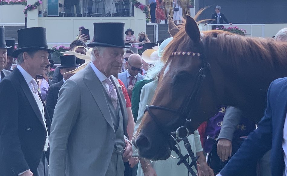 The King takes a look at Desert Hero - his first #RoyalAscot winner