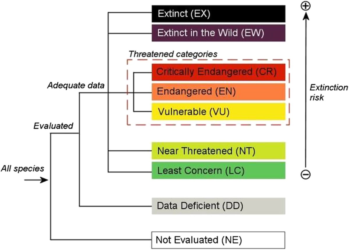 plantspplplanet's tweet photo. Raising awareness through the #GlobalTreeAssessment: Extinction risk of six fully assessed tree groups
π https://t.co/U3kxIFPUqT https://t.co/wqYIPoYwk4