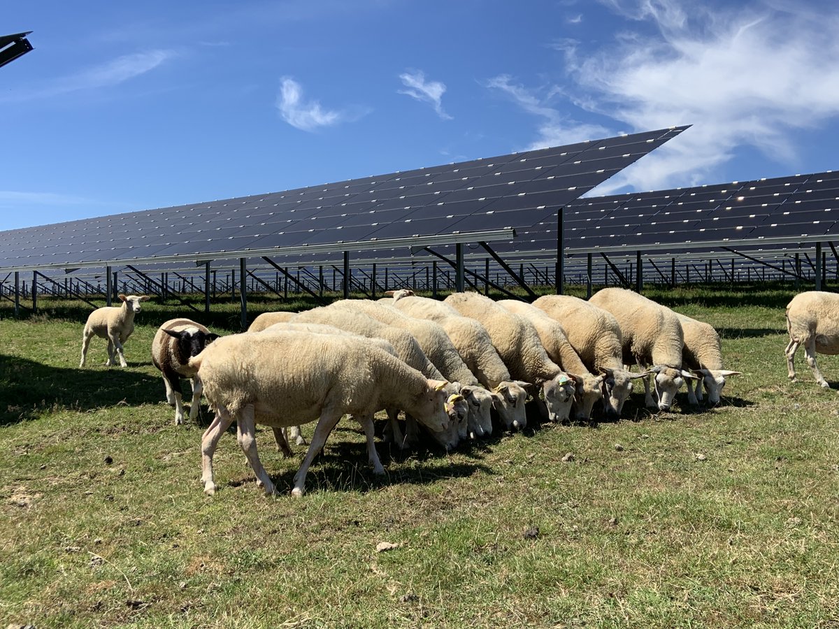 [Développeur engagé ] Hier, Cyrille Bouhier de l'Ecluse, Responsable du pôle Agrivoltaïsme <a href="/PHOTOSOL/">Photosol</a>  a rejoint le Comité d'Orientation Stratégique du Pôle National, Recherche, Innovation, Enseignement sur l’Agri-photovoltaïsme  à l’initiative @INRAE.