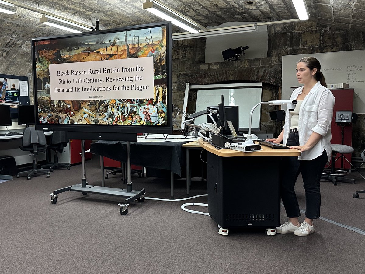 Archaeology UoYork tweet media