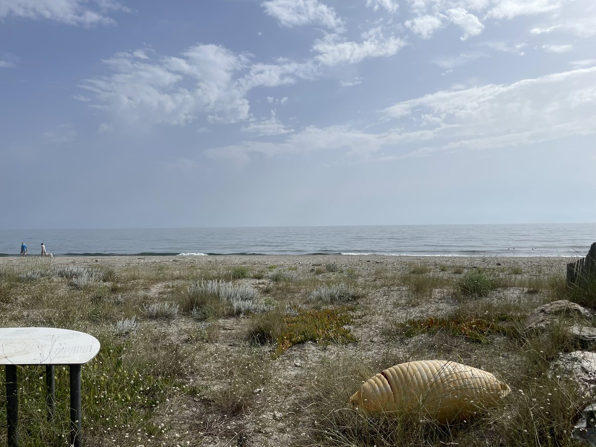 #Amcsti2023

 🐟︎ Les congressistes du Parcours "Mers et Océans" débattent des enjeux liés aux transitions environnementales à la plateforme Stella Mare <a href="/UnivCorse/">Università di Corsica</a>