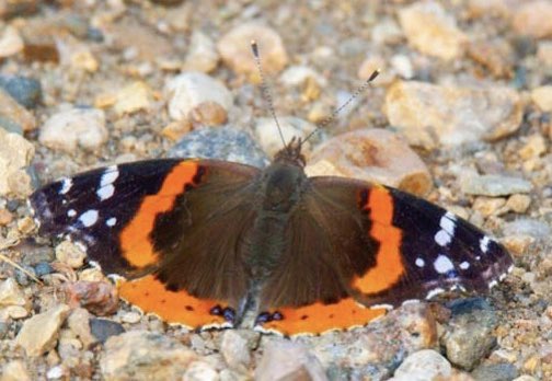 Neil Shook tweet media