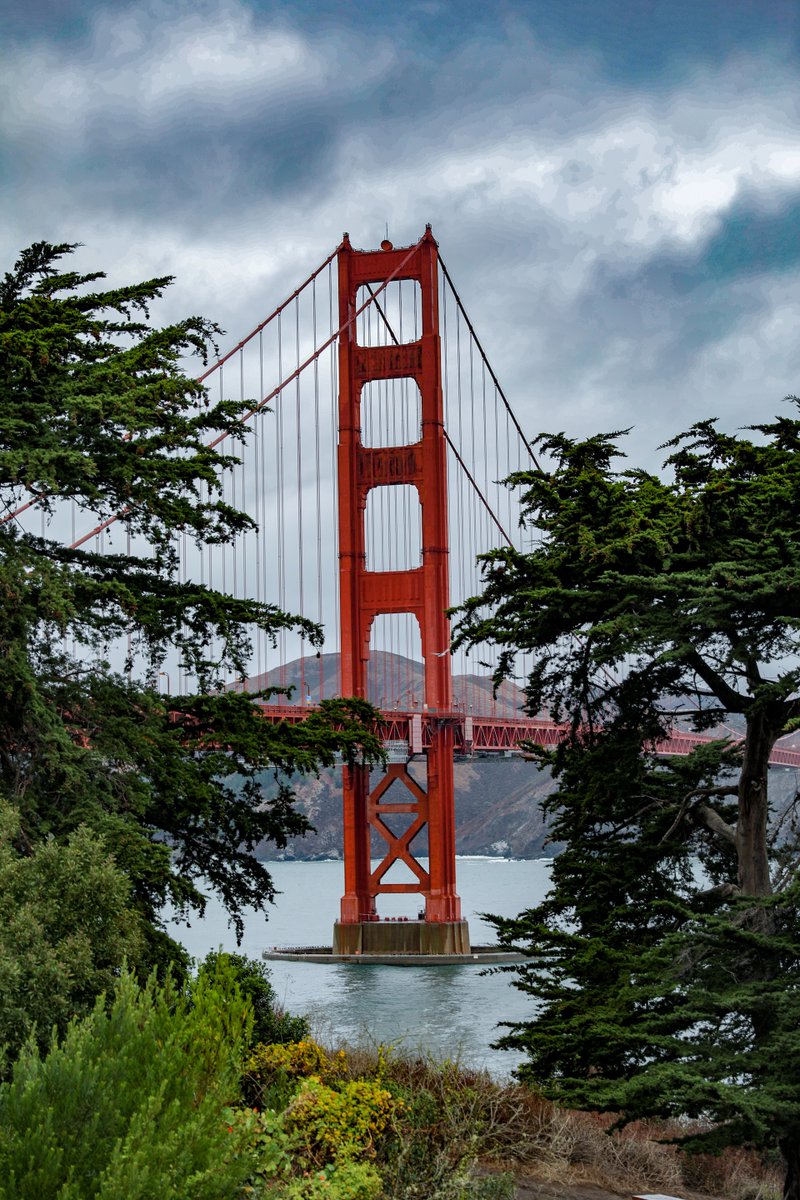 fare_ferry's tweet photo. San Francisco, CA, USA 🩵
.
.
#sanfrancisco #sanfranciscobay #sanfrancisco49ers #mysanfrancisco #sanfranciscophotographer #sanfranciscogiants #sanfranciscobayarea #sanfranciscoworld https://t.co/9MKrgmb4ZO