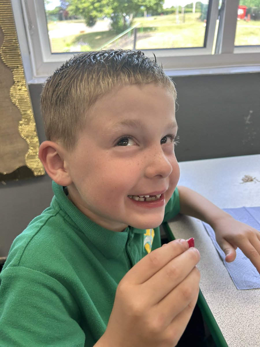 Wye_WPA's tweet photo. We had a taste testing session yesterday in DT! We tried lots of new vegetables!! #WatersideDT 🥒 https://t.co/nbGdDsV7r0