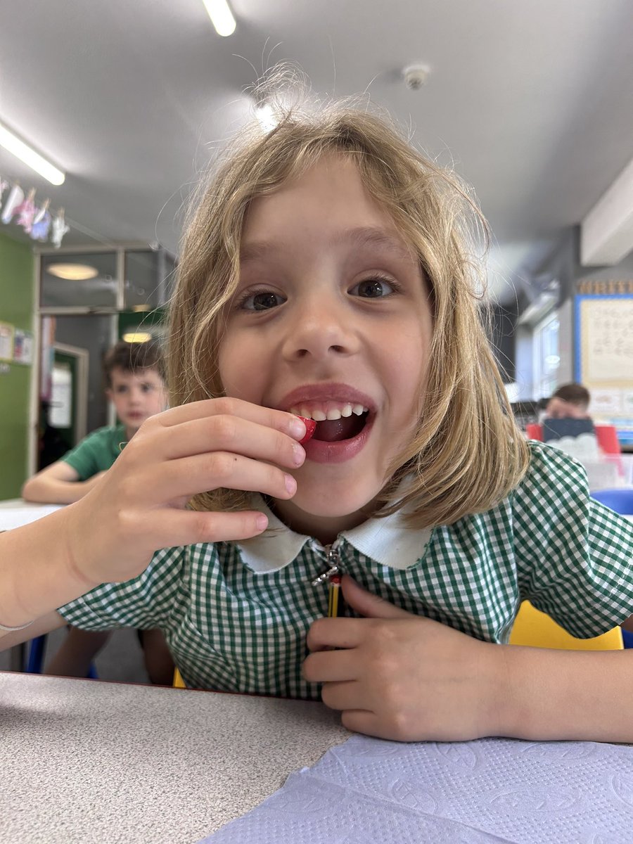 Wye_WPA's tweet photo. We had a taste testing session yesterday in DT! We tried lots of new vegetables!! #WatersideDT 🥒 https://t.co/nbGdDsV7r0