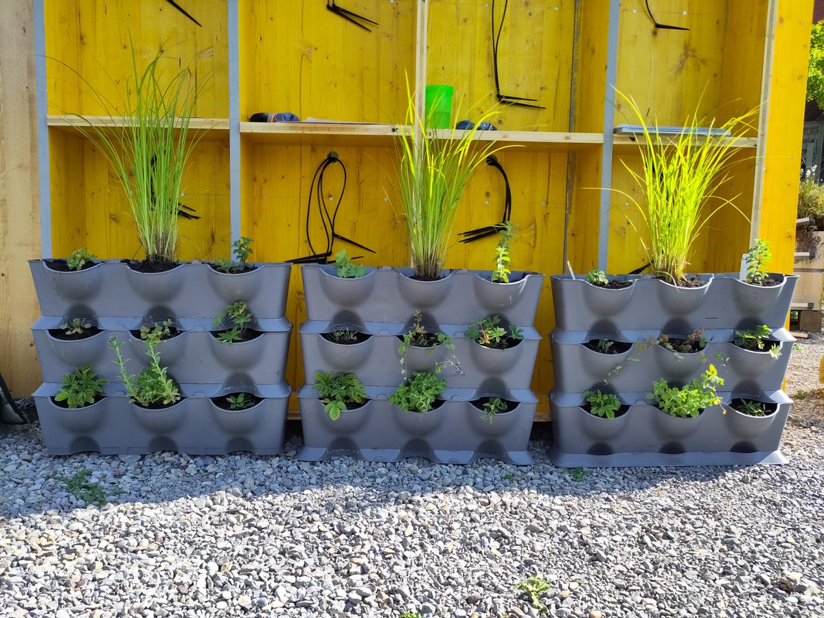 Kompotoi tweet media