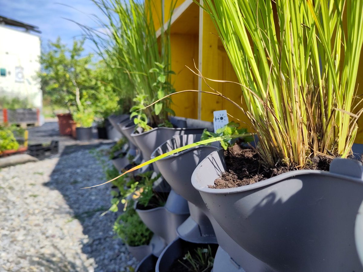 Kompotoi tweet media