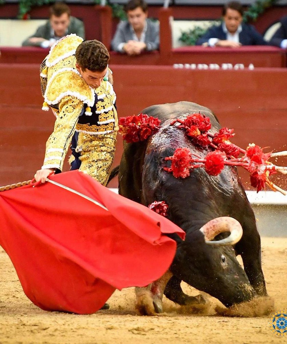 'Secuestrador', una manera y un estilo muy especial de embestir.

#ElPrivilegiodelCampoBravo