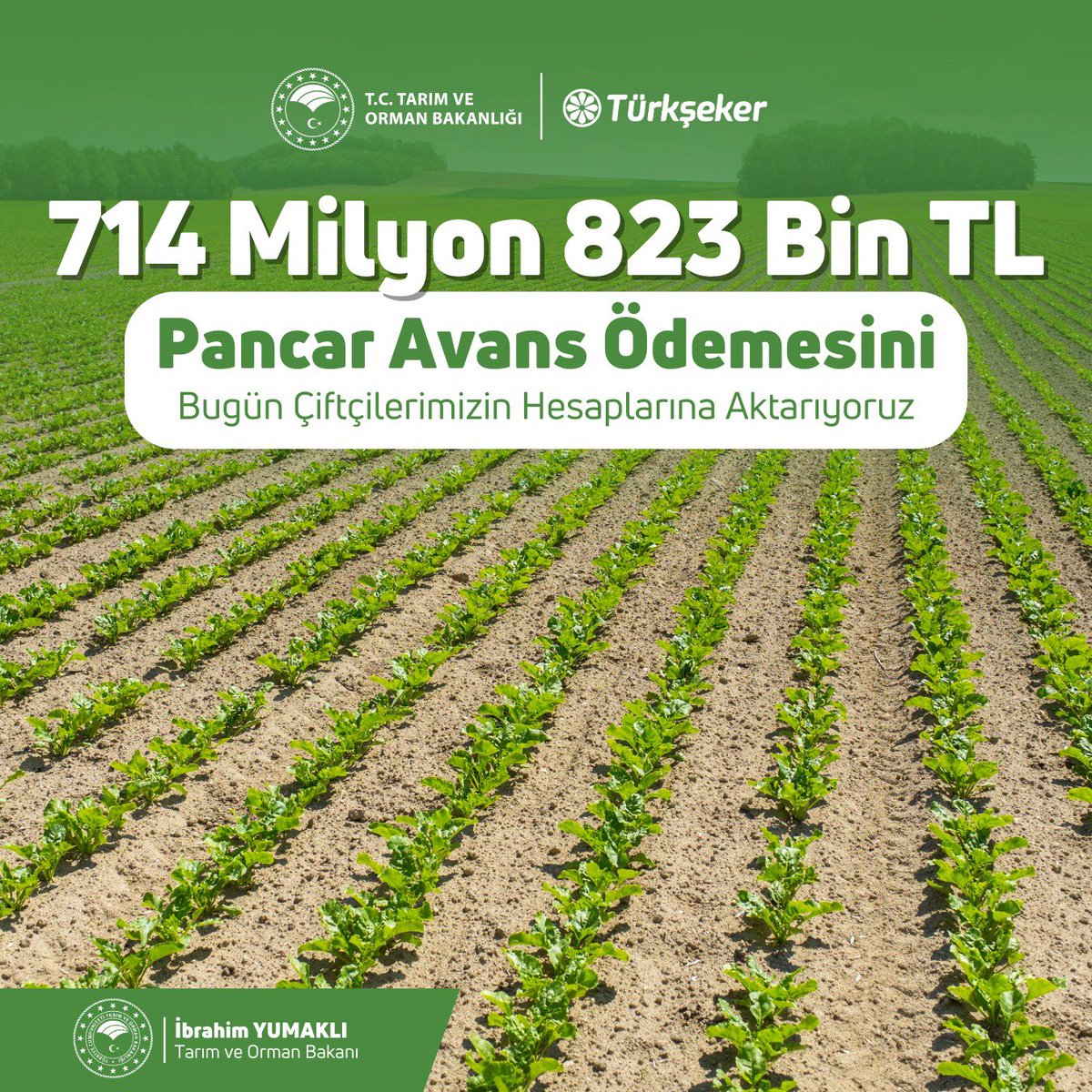 Türkşeker aracılığıyla 714 milyon 823 bin TL’lik pancar avans ödemesini bugün üreticilerimizin hesaplarına aktarıyoruz.

Hayırlı ve bereketli olsun.