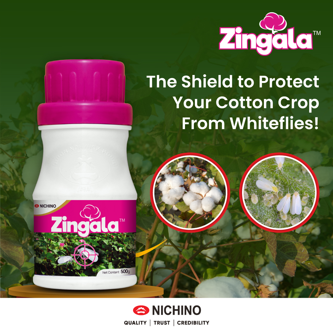 Attention farmers! say goodbye to troublesome pests and hello to a successful harvest with Zingala by Nichino India. Zingala, the ultimate whitefly repellent, may help to protect your cotton crop and ensure a fruitful harvest.
#NichinoIndia #Zingala #AntiWhiteflies #HealthyFarms