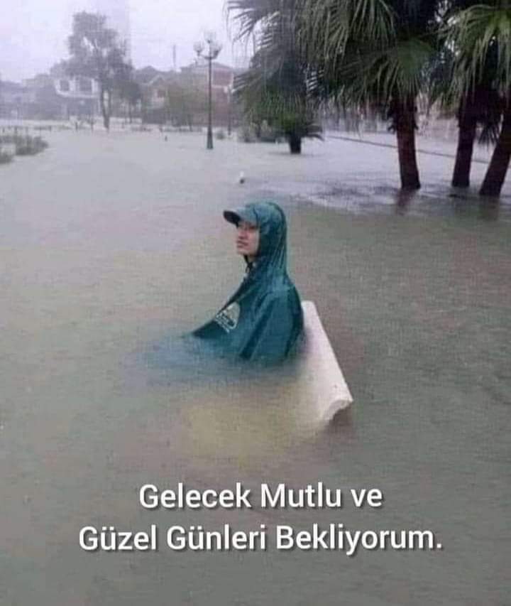 MakinAli 61 (@alihoro33429447) on Twitter photo 