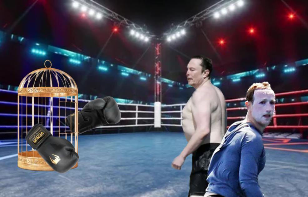 Cage Starts Training For Fight With Musk And Zuckerberg, Cheered On By Millions Of Fans