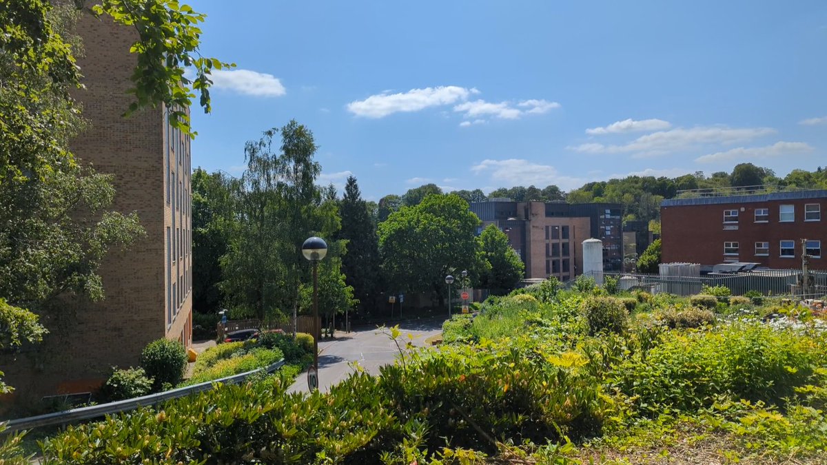 1/4. A new elective hub has been approved at Winchester Hospital.

The new hub will provide more capacity and allow more operations to take place - improving access to elective surgery and reducing the elective backlog across Hampshire and the Isle of Wight.