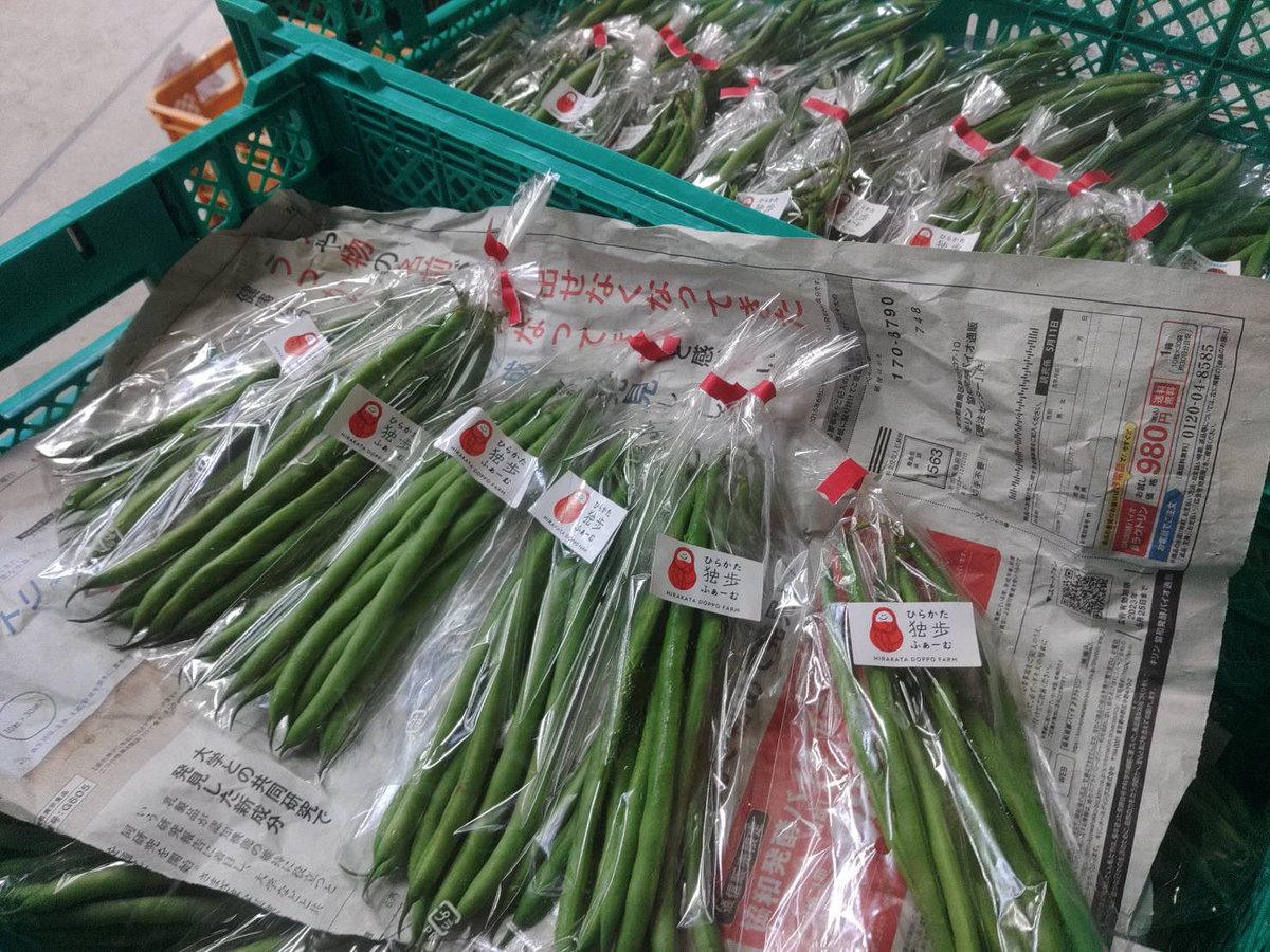 doppo_farm's tweet photo. 【出荷のお知らせ】
京阪百貨店守口店にてサヤインゲンを販売しております。
新鮮で瑞々しいので炒めると特にその美味しさを発揮します！
クックパッドにレシピ多数掲載しておりますので、そちらも是非ご覧ください。
#ひらかた独歩ふぁーむ
#野菜
#クックパッド https://t.co/hoi7Sle6q8