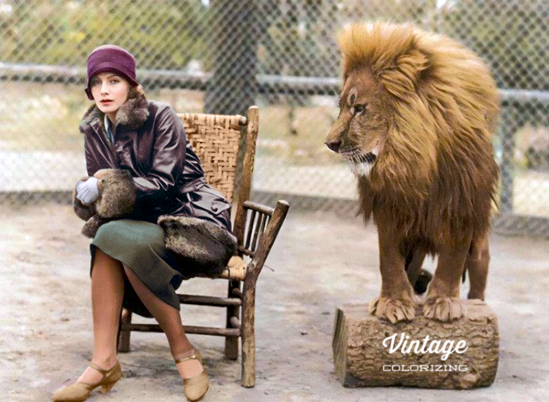 Colorizer2's tweet image. Heel gemakkelijk zit filmster Greta Garbo niet naast MGM&apos;s Leo the Lion op deze foto uit 1926. 🎥✨ Volg me voor meer bijzondere foto&apos;s, tot leven gebracht met kleur! 🌈🎬 #Filmster #GretaGarbo #VintageFoto #MGM #Ingekleurd #Leeuw 👉 vintagecolorizing.com