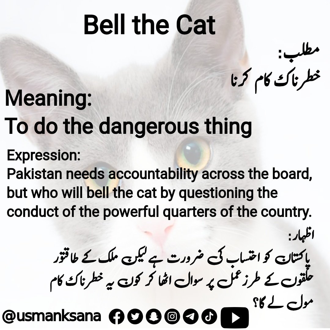 UsmanKsana's tweet photo. Subscribe: https://t.co/3gDyZ0IMX0

#idioms #bellthecat #englishvocabulary #englishidioms  #idiomoftheday #competitiveexams #ieltsvocabulary #ieltsexam #ieltswriting #englishcomposition #IELTS #idiomaticexpressions #reels #reelsfb #reelsvideo #education https://t.co/ftRzmzGcBs
