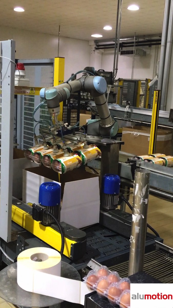 alumotionsrl's tweet image. I robot collaborativi sanno anche essere delicati, quando serve.
Abbiamo aiutato un nostro cliente del settore avicolo a impiegare i cobot @UR_italy
linkedin.com/posts/alumotio…
#robotapplication