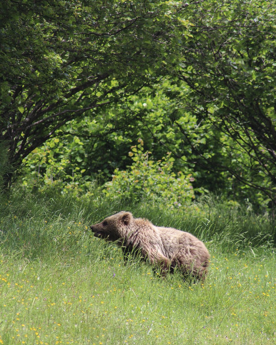 carina🌻 tweet media