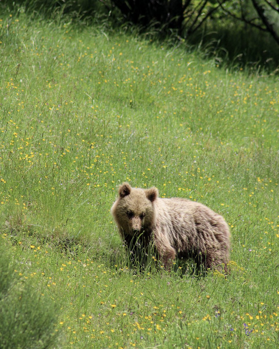 carina🌻 tweet media