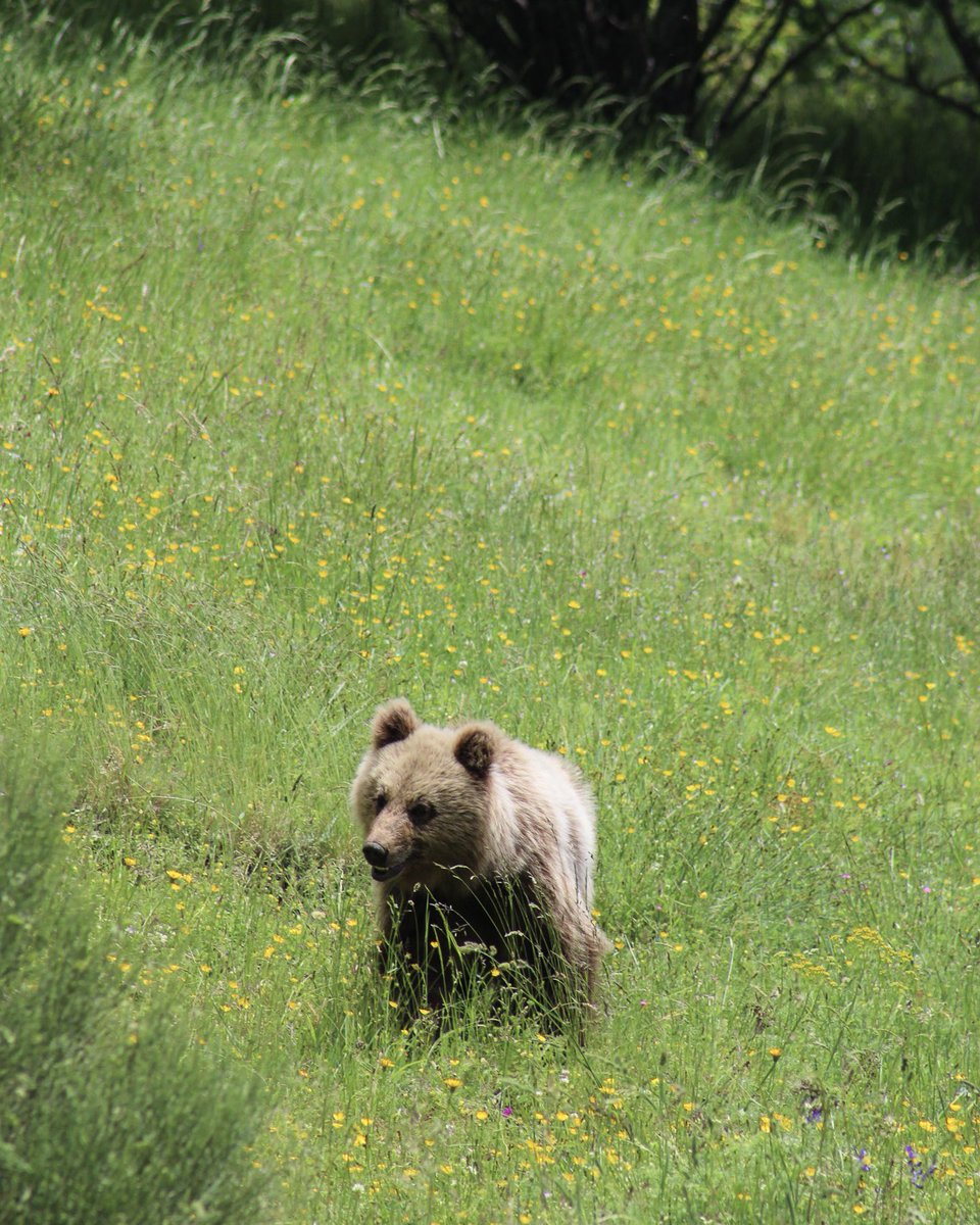 carina🌻 tweet media