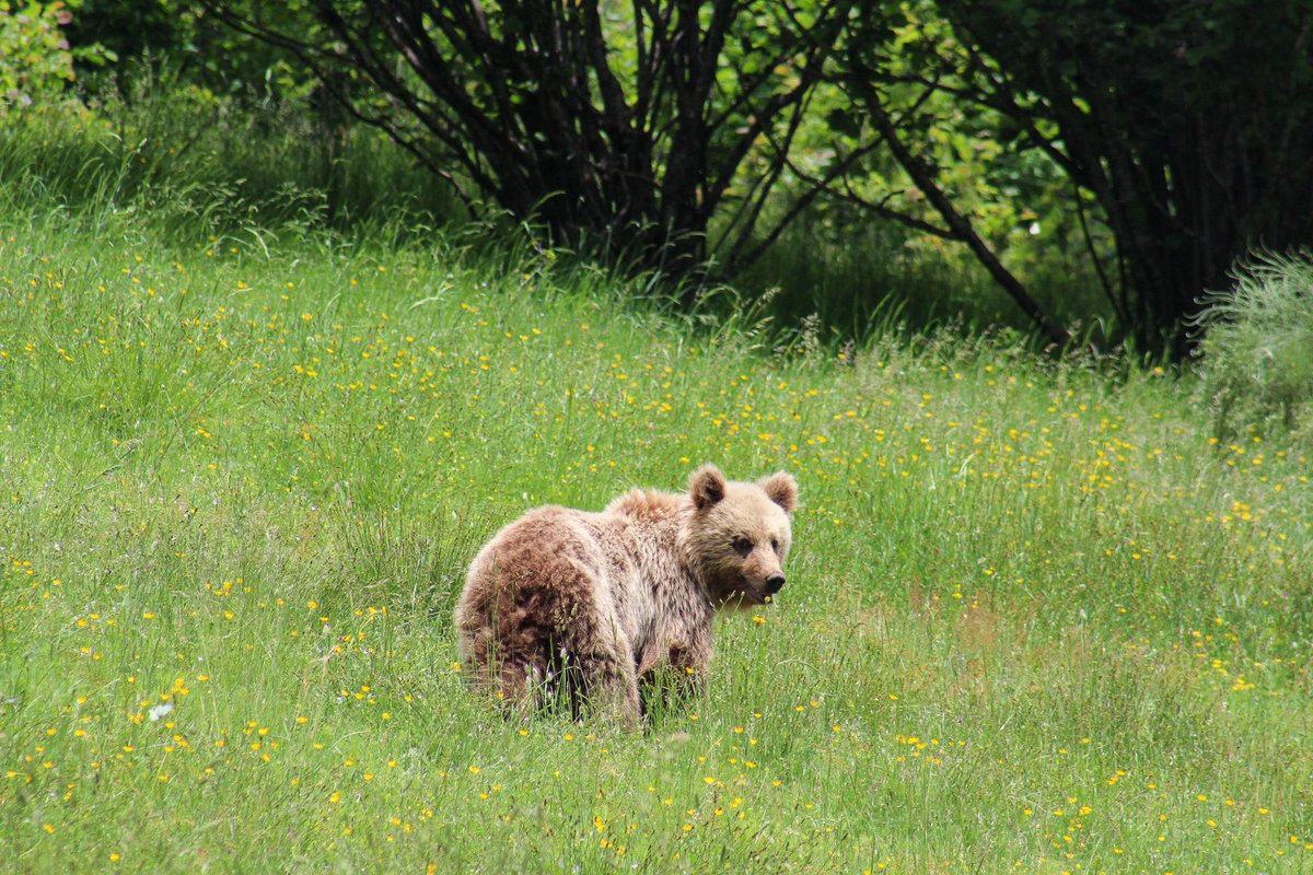 carina🌻 tweet media