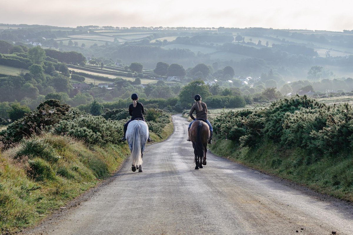 lurcherwork's tweet photo. #exmoor #equestrianphotography #horses #hackingout #Horse https://t.co/DMAFMBy7JL