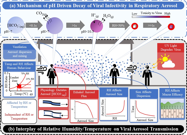 I’m proud to have our latest research published on how long #SARSCoV2 remains infectious while airborne! We studied the fundamental processes that drive the loss of viral infectivity in the aerosol phase. #COVIDisAirborne Here’s a thread going over some of the findings.