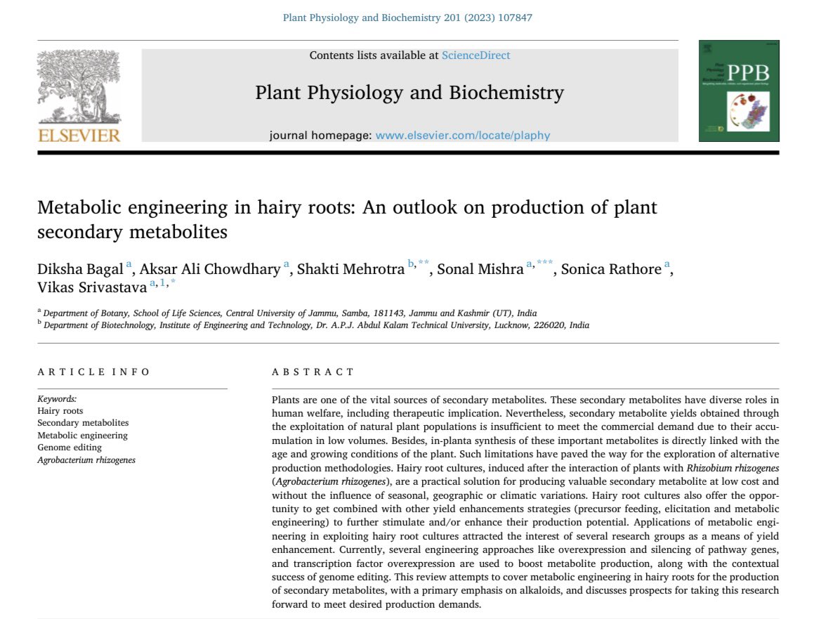 Delighted to share our new review  Bagal et al., 'Metabolic engineering in hairy roots: An outlook on production of plant secondary metabolites,' just been published in Plant Physiology and Biochemistry (IF: 5.4, CS: 10.3)🥳
sciencedirect.com/science/articl…
#Publication #ReviewArticle