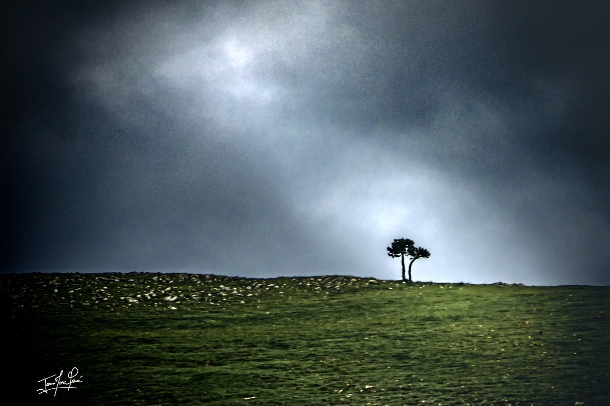 Même sous son aspect minimaliste, la force de la nature se ressent au travers de la lumière diffusée 
#nature #montagne #mountains #wild #wildlife #lumiere #minimalism #photo #photography #photographie #aude #occitanie #audetourisme #jaimelaude #languedoc #montagnenoire #canon