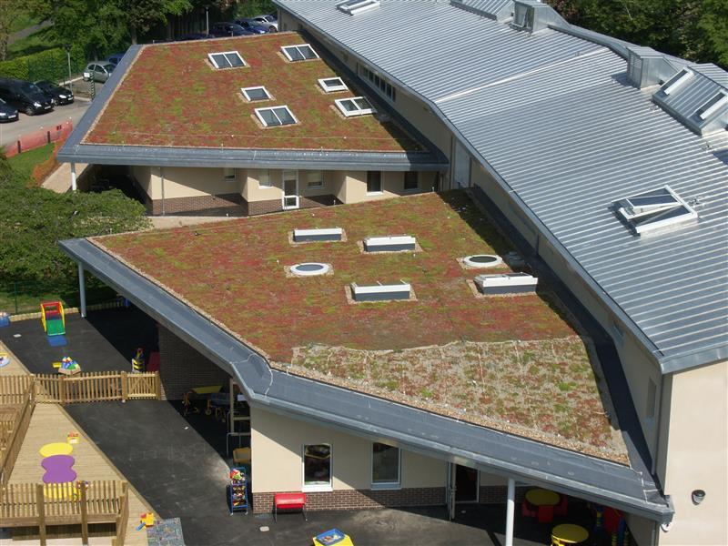 Summer is here! Let’s look back at some remarkable green roof projects. 🌿🌞

Ranging from schools to domestic homes, these projects not only enhance the aesthetic appeal of buildings but also contribute to a greener planet. #GreenRoofs #ThrowbackThursday