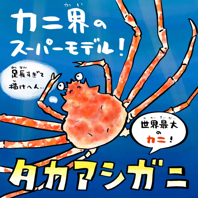 カニの日、足長くなりたいと思った日が私にもありました