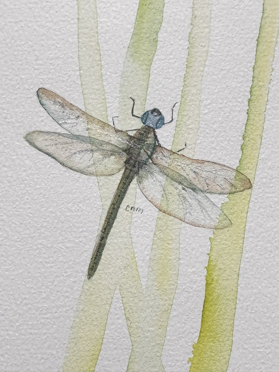 maricris_Artist's tweet photo. Dragonfly #watercolorpainting #watercolor #dragonfly #animalpainting #watercolorartist #skillshare #skillshareproject #skillshareclass #taught by @janedavieswatercolours @skillshare #artappreciation #arttherapy #artjournal #artjourney #reels #reelsviral #reelsdaily #artgallery https://t.co/IabPIJ1e9I