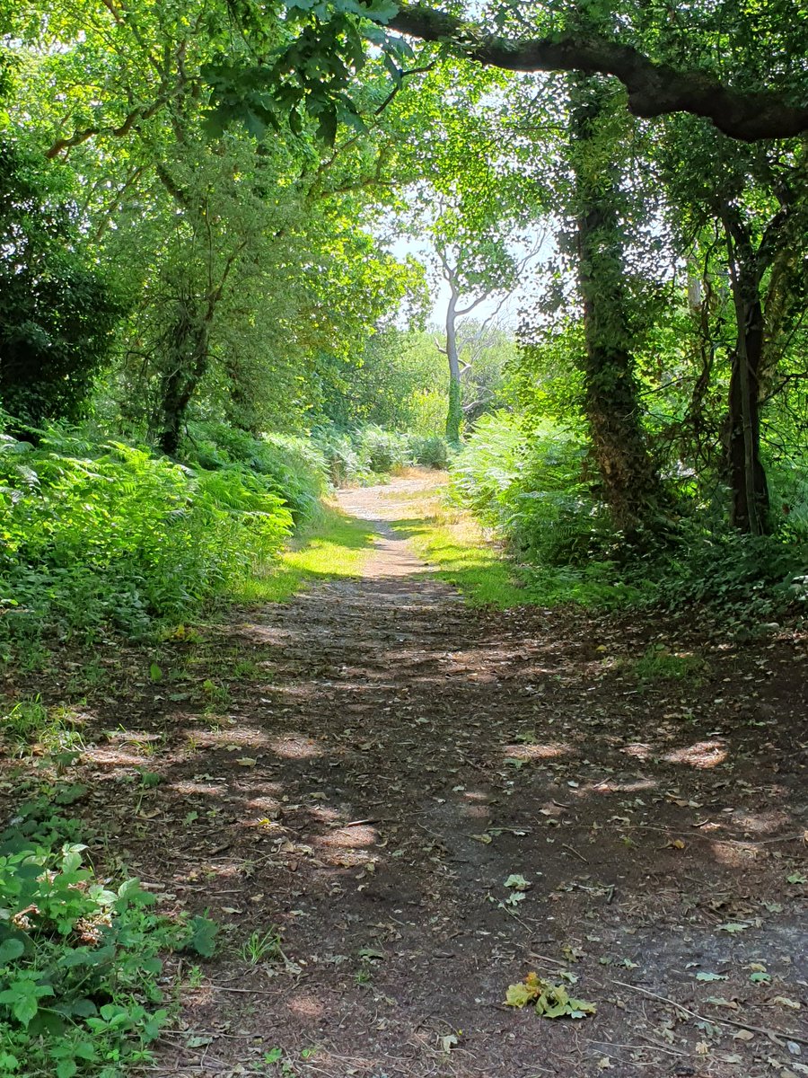 Out in the beautiful Alver Valley. This is the base of the lesser known Motte, which once had a small fort on top, defending the Alver river #HAZ @HE_SouthEast @DiscoverGosport