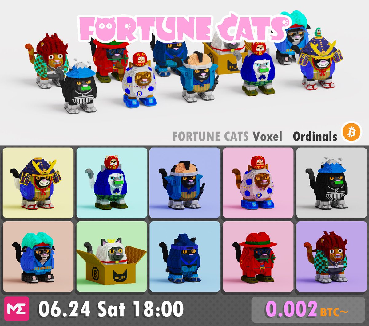 metafighter tweet media