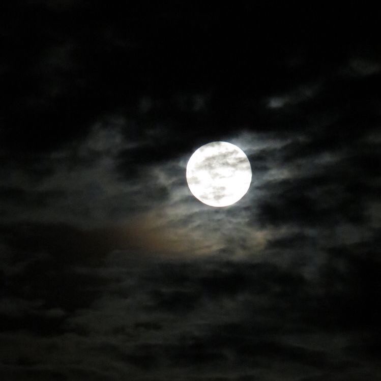 violettweets_'s tweet image. the moon.