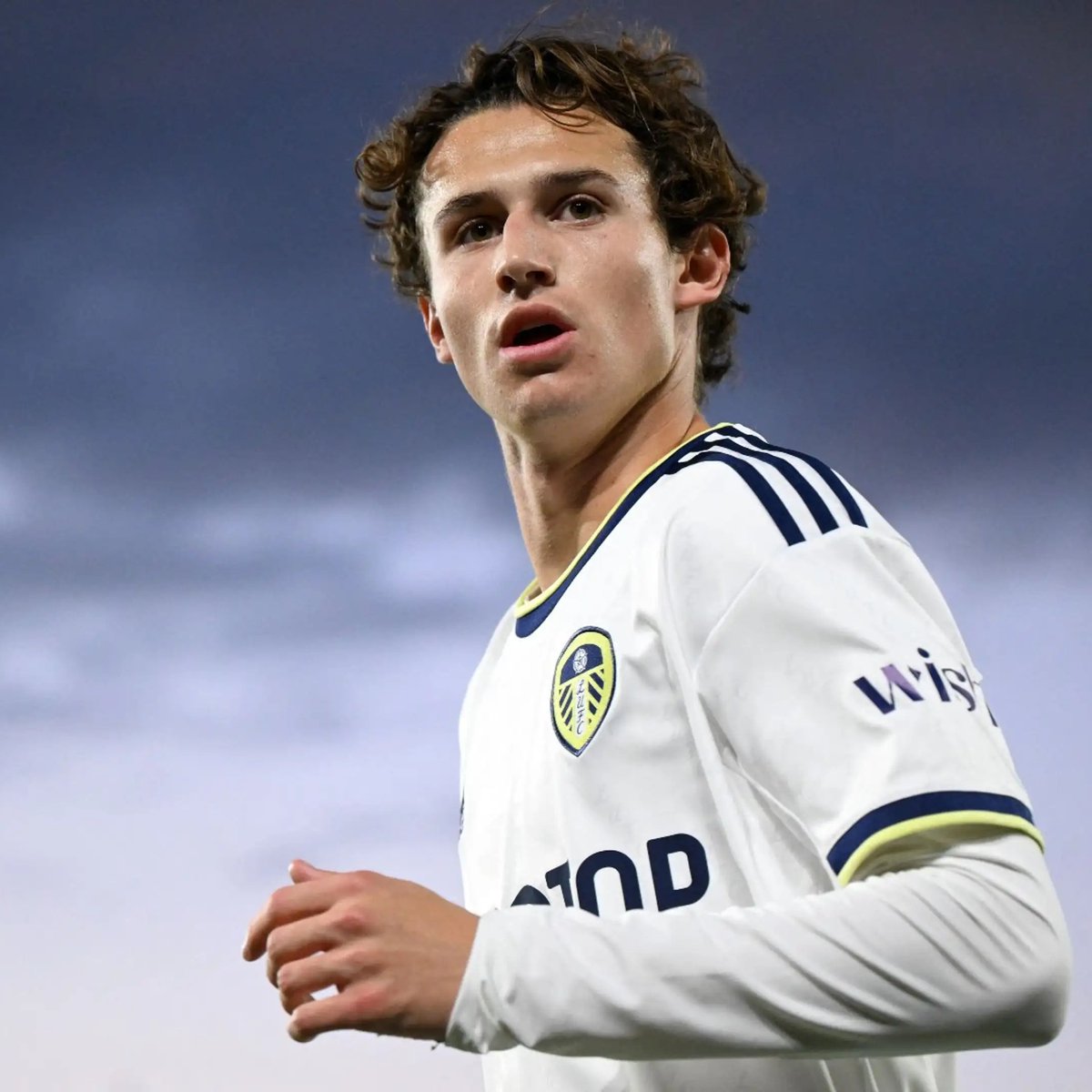 LUFCMOT tweet media
