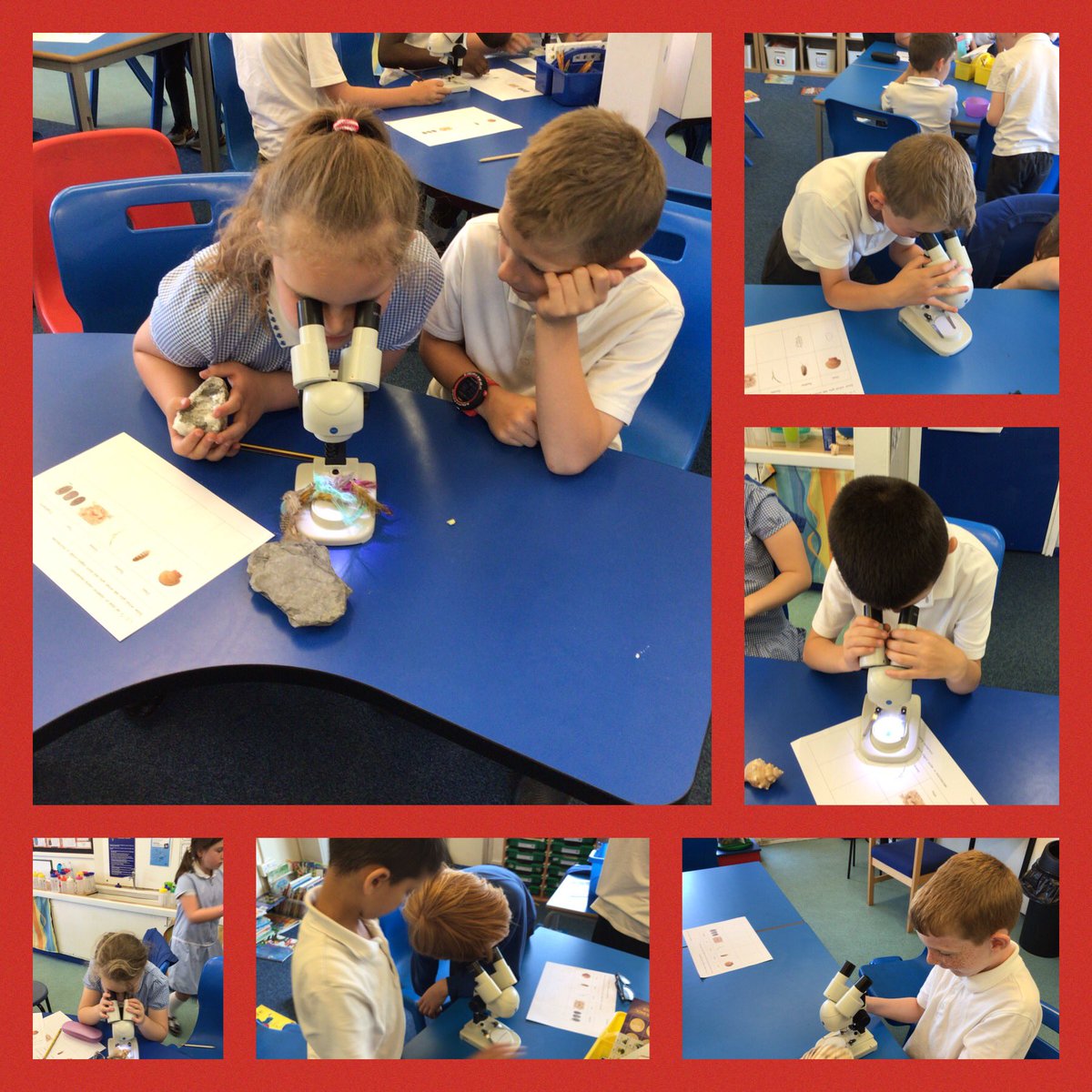 Year 3 Elephants (@nypsy3elephants) on Twitter photo This morning, we have been using our investigation skills by examining different objects closely with microscopes. The children looked really closely at the detail of each object and even made their own fingerprints to examine! <a href="/Newyorkprimary/">New York Primary School</a> #NYPSstemweek23 This morning, we have been using our investigation skills by examining different objects closely with microscopes. The children looked really closely at the detail of each object and even made their own fingerprints to examine! <a href="/Newyorkprimary/">New York Primary School</a> #NYPSstemweek23