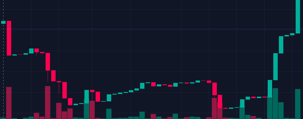 CatColorToken's tweet image. Reversal incoming, Here we go 😻😻😻

#meme #catcolor #1000x #1000XGEM