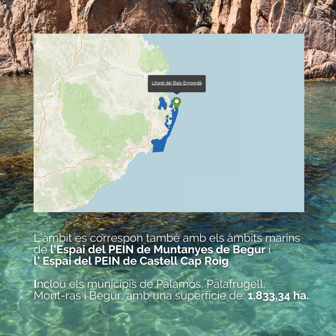 A la Costa Brava podem trobar diverses àrees marines protegides, una d'elles és el Litoral Baix Empordà. 

#PortsdelaCostaBravabyACPET #PortsCostaBrava #VitaminaBlava #CostaBrava #Girona #BaixEmpordà