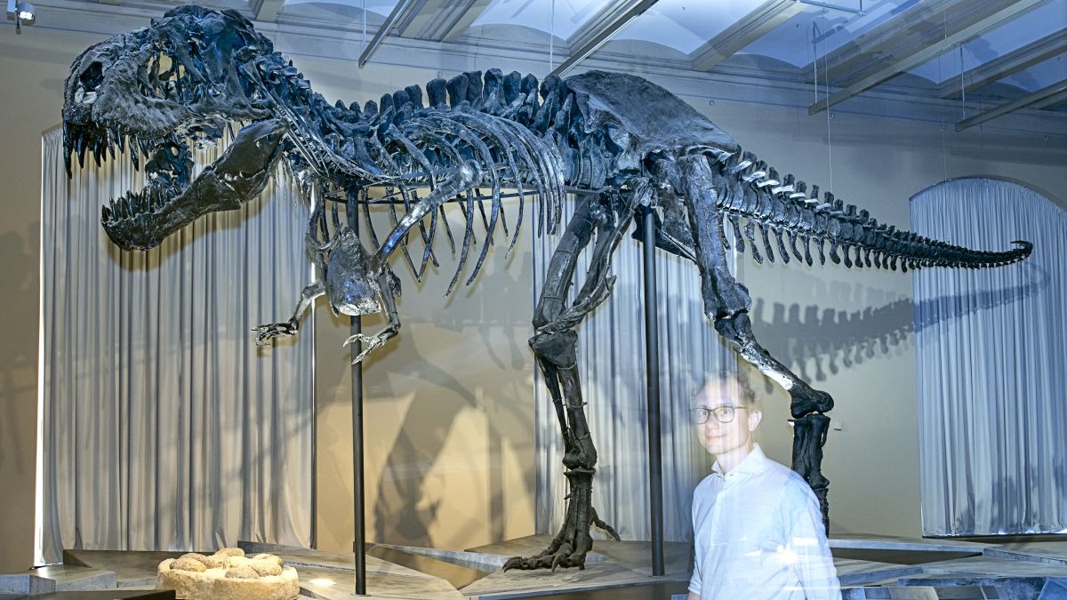 Leibniz-Gemeinschaft tweet media