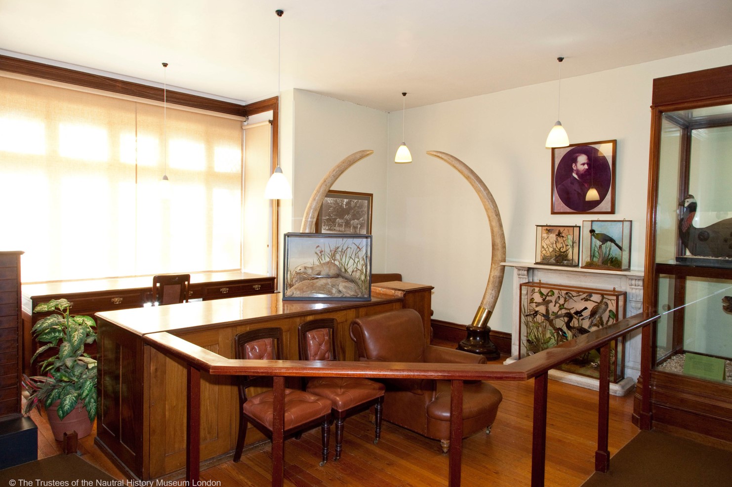 NHM at Tring on Twitter "Anyone remember the Rothschild Room before its redisplay? It's much