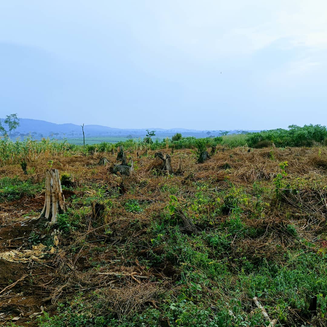 KEInitiative's tweet photo. Education and climate crisises are usually viewed in isolation, yet intertwined.
Extreme weather incidents like flooding, powerful storms and drought, disrupt Education, characterized by damaging of school structures, water and food scarcity.
#SaveBugoma. #SaveEducation. https://t.co/zitIC6I47S
