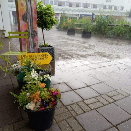 Hardy garden-lovers turn out in Kenilworth despite torrential rain - leamingtonobserver.co.uk/news/hardy-gar…