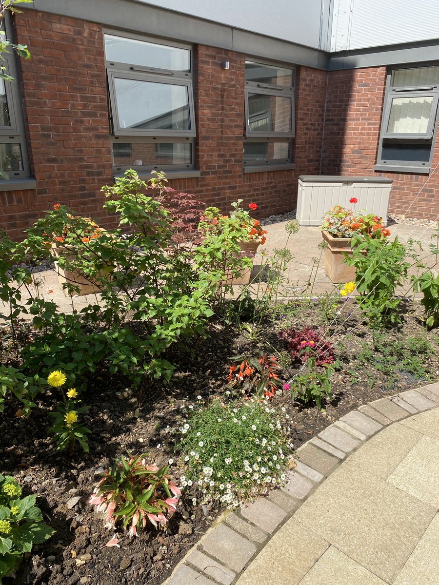 Dr Sheila Quaid tweet media