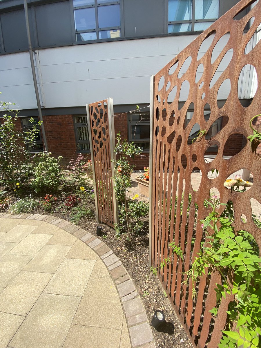 Dr Sheila Quaid tweet media