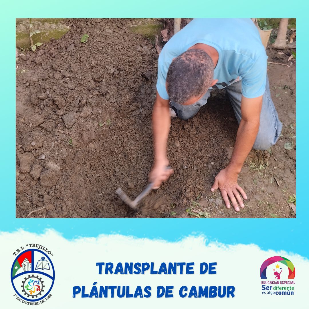tel_trujillo's tweet photo. @MPPEDUCACION @_LaAvanzadora @NicolasMaduro @Gerardo4fPsuv @direducaciontru  @ZonaEduTrujillo 
@especialmppe @ceetrujillo @AnaGil37736870MPPEDUCACION @_LaAvanzadora @NicolasMaduro @Gerardo4fPsuv @direducaciontru  @ZonaEduTrujillo 
@especialmppe @ceetrujillo @AnaGil37736870 https://t.co/5QgkG9d6Jj