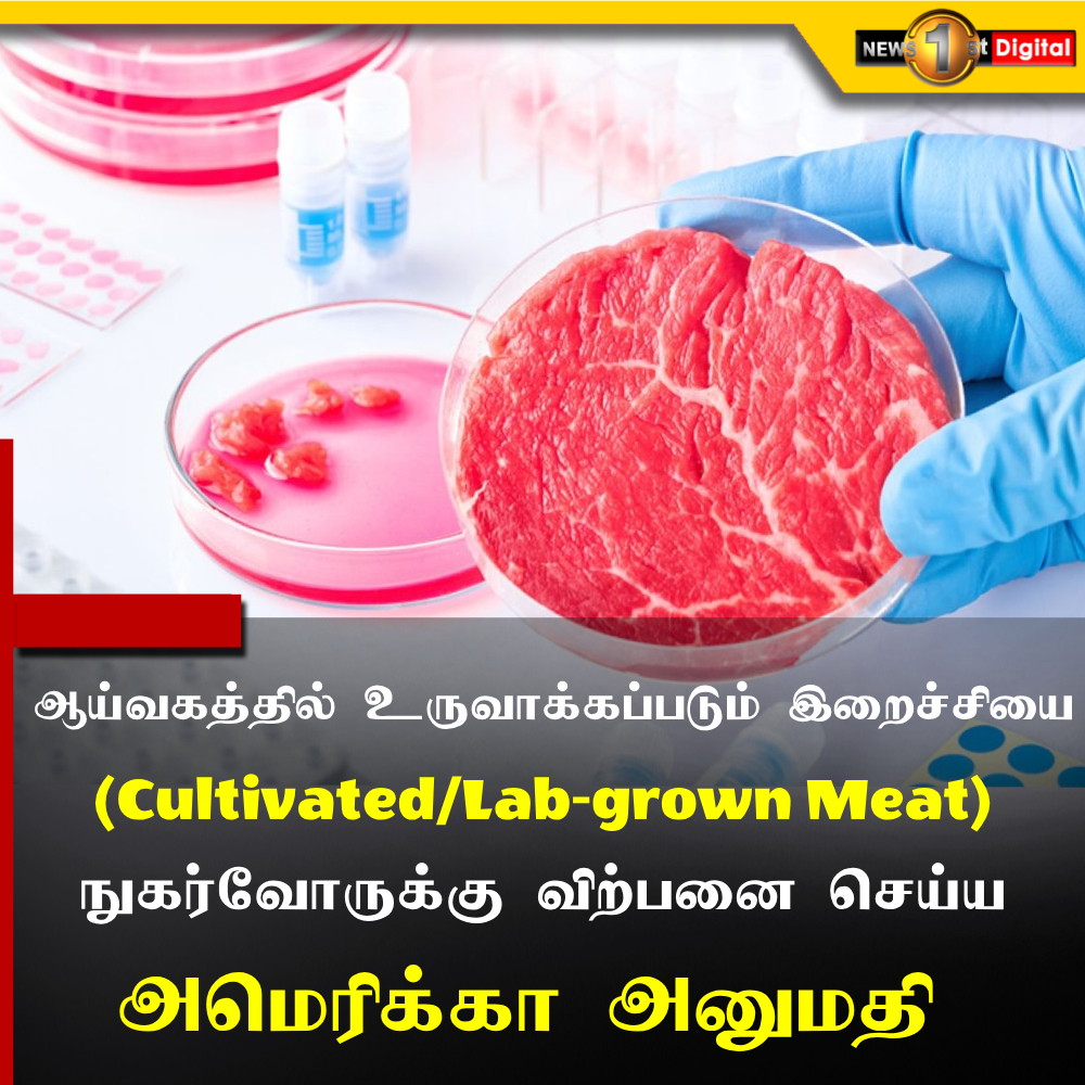 NewsfirstTamil's tweet photo. ஆய்வகத்தில் உருவாக்கப்படும் செயற்கை இறைச்சி விற்பனைக்கு அமெரிக்கா அனுமதி
Read Here: https://t.co/Op0ScNYvls
#LabGrownMeat #USApproval #CultivatedMeat https://t.co/7dHHbiL6v6